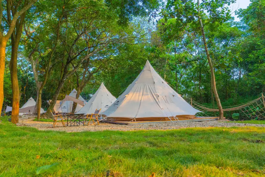 Go Safari Wild Luxury Camp