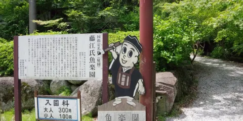 藤江氏魚樂園