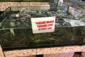 Bandar Djakarta User Photo