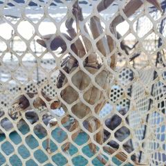 貢里人家張用戶圖片