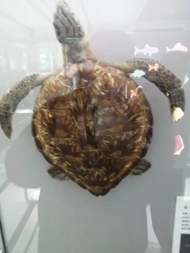 4_Shekouhaiyang Museum