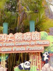 Padiglione del Panda Gigante