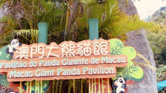 Macao Giant Panda Pavilion