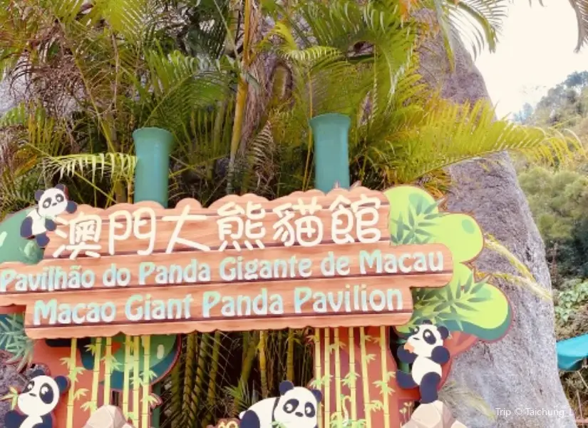 Macao Giant Panda Pavilion