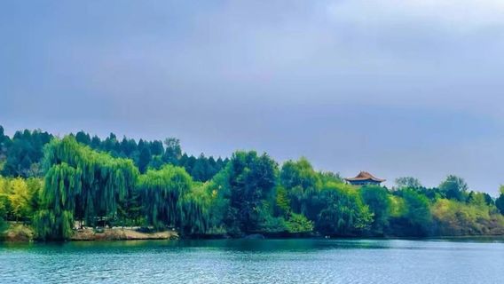 Luanxie Ginkgo Scenic Area