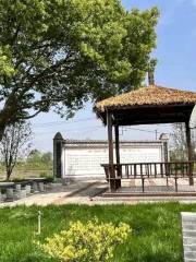 Shijiahe Cultural Site