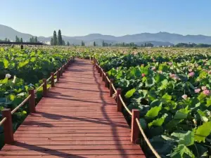 Lotus Expo Park