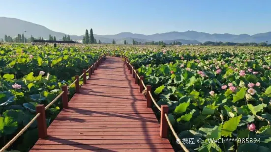 Lotus Expo Park