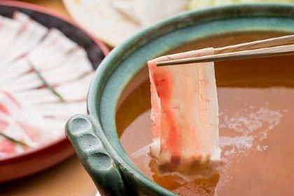 Japanese Restaurant Kanucha