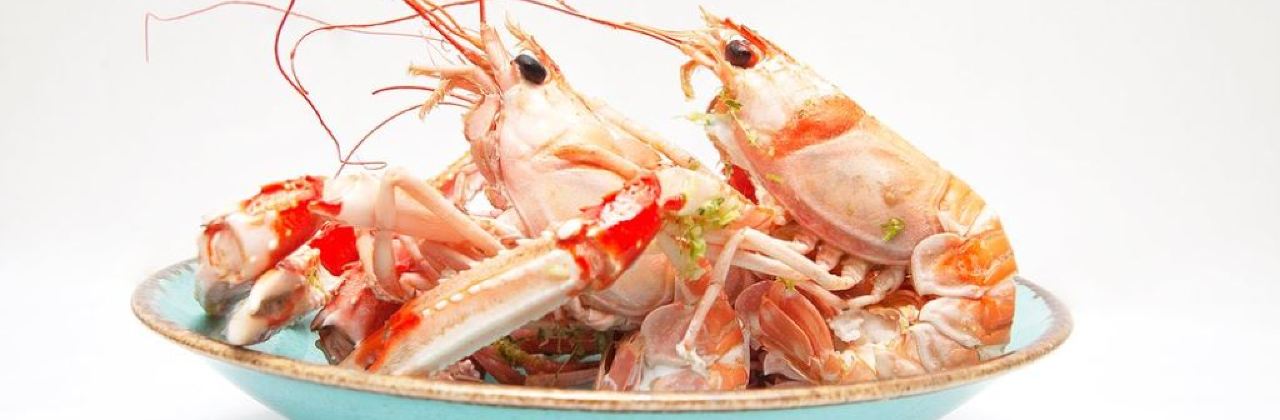 MUSSEL ANG STEAK BAR