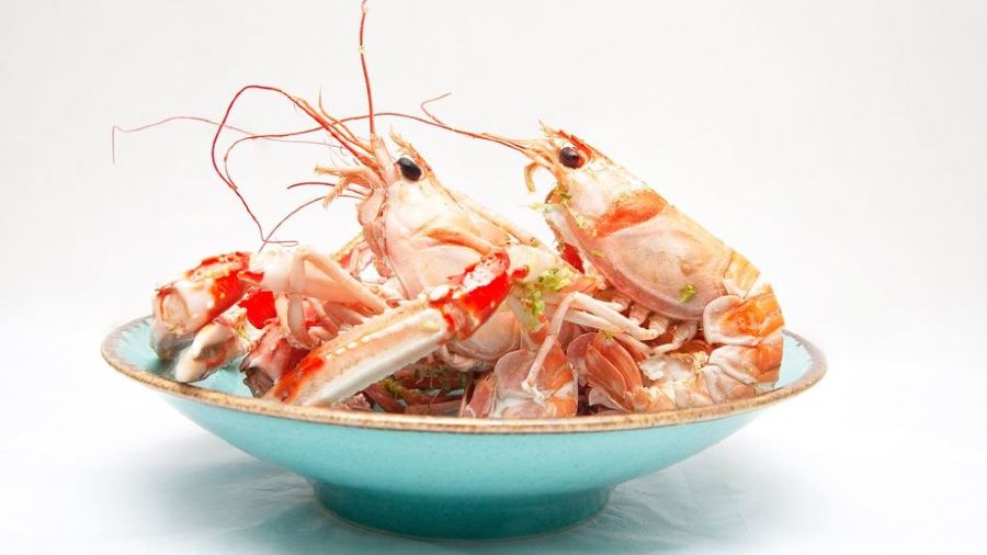 The Mussel and Steak Bar