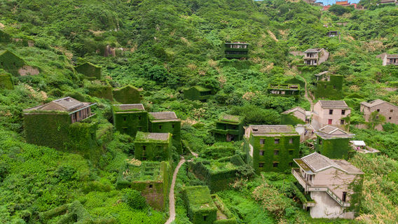 lv ye xian zong wu ren cun