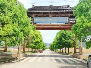 Kala Birdcage village