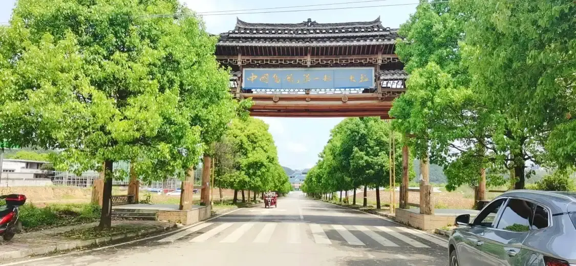 Các khách sạn gần Kala Birdcage village