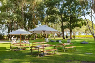 Cloudy Bay Vineyards