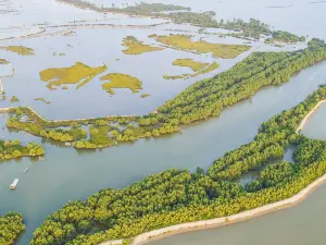 Zhanjiang Mangrove National Nature Reserve