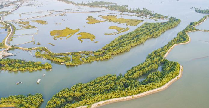 เขตอนุรักษ์ธรรมชาติแห่งชาติป่าชายเลน Zhanjiang