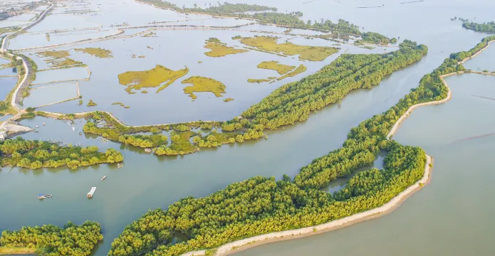 Zhanjiang Mangrove National Nature Reserve