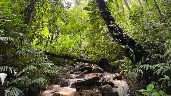 jiang shan zhi lian yu lin tu bu