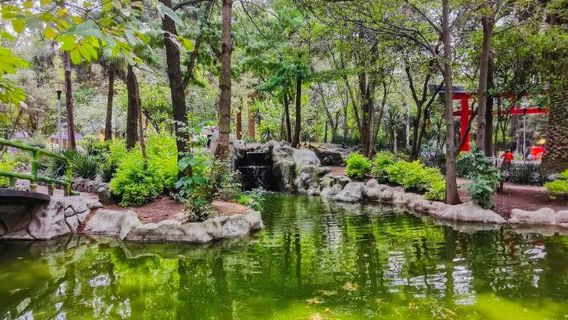 Parque Masayoshi Ohira