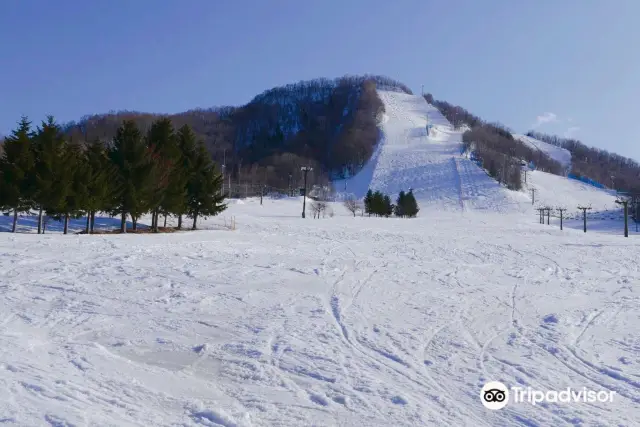 Skiing in Sapporo