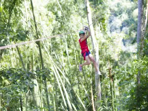 Phoenix Adventure Park