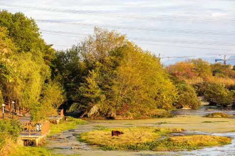 Xixinan Ancient Village