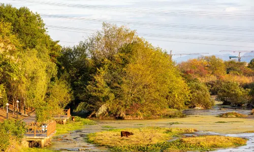 Xixinan Ancient Village