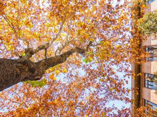 北京日帰り旅行プラン
