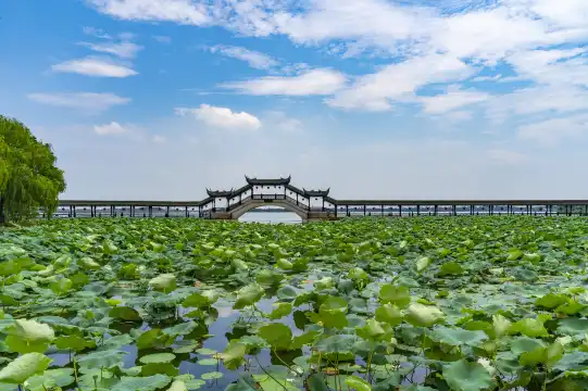 錦溪古鎮附近的飯店
