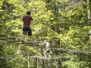 D'Arbre en Arbre Lac-Mégantic