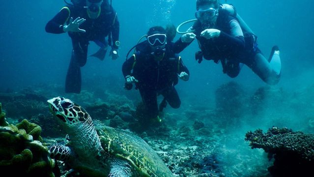 Diving on Boracay Island