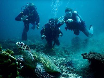 Snorkeling or Scuba Diving on Boracay Island