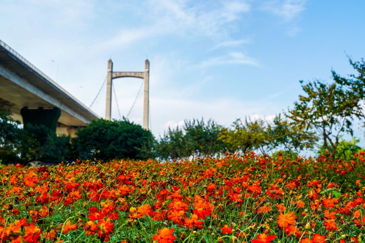 福州花海公园景点图片