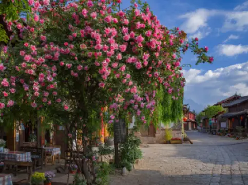 麗江古城