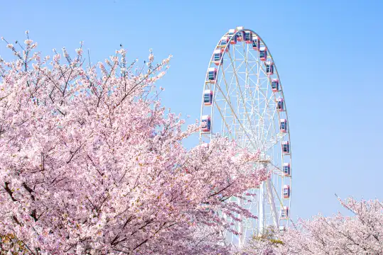 Hotels near Gucun Park