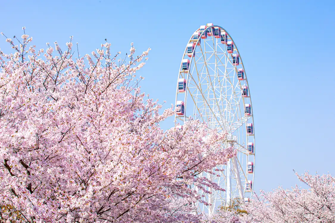 Các khách sạn gần Gucun Cherry Blossom Fair
