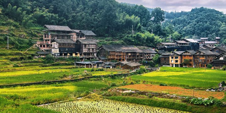 Xijiang Qianhu Miao Village - Rural Sightseeing Area