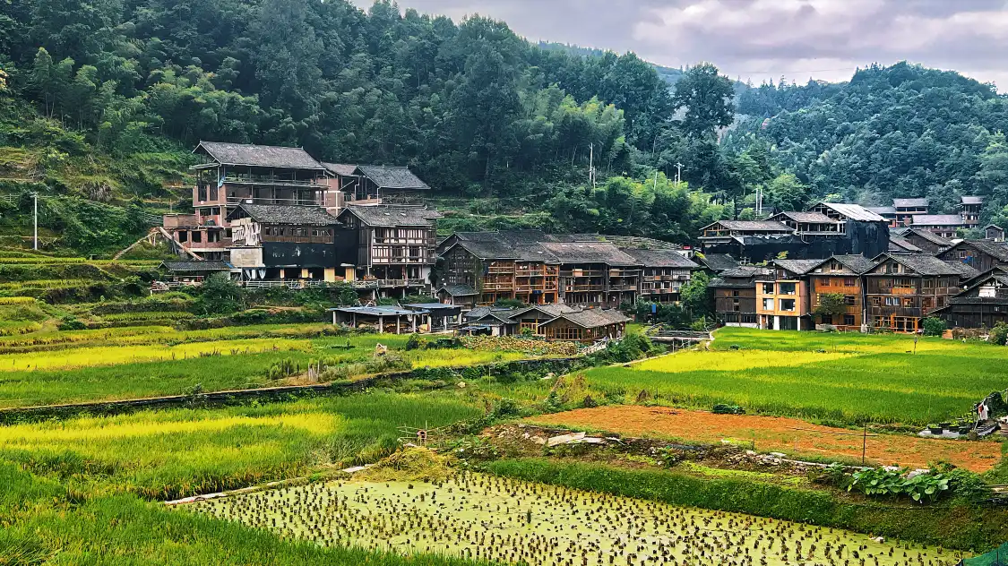 Hotels near Xijiang Qianhu Miao Village - Rural Sightseeing Area