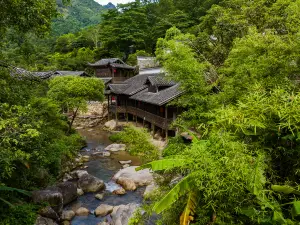 Popular Spring Outings in Xinfeng