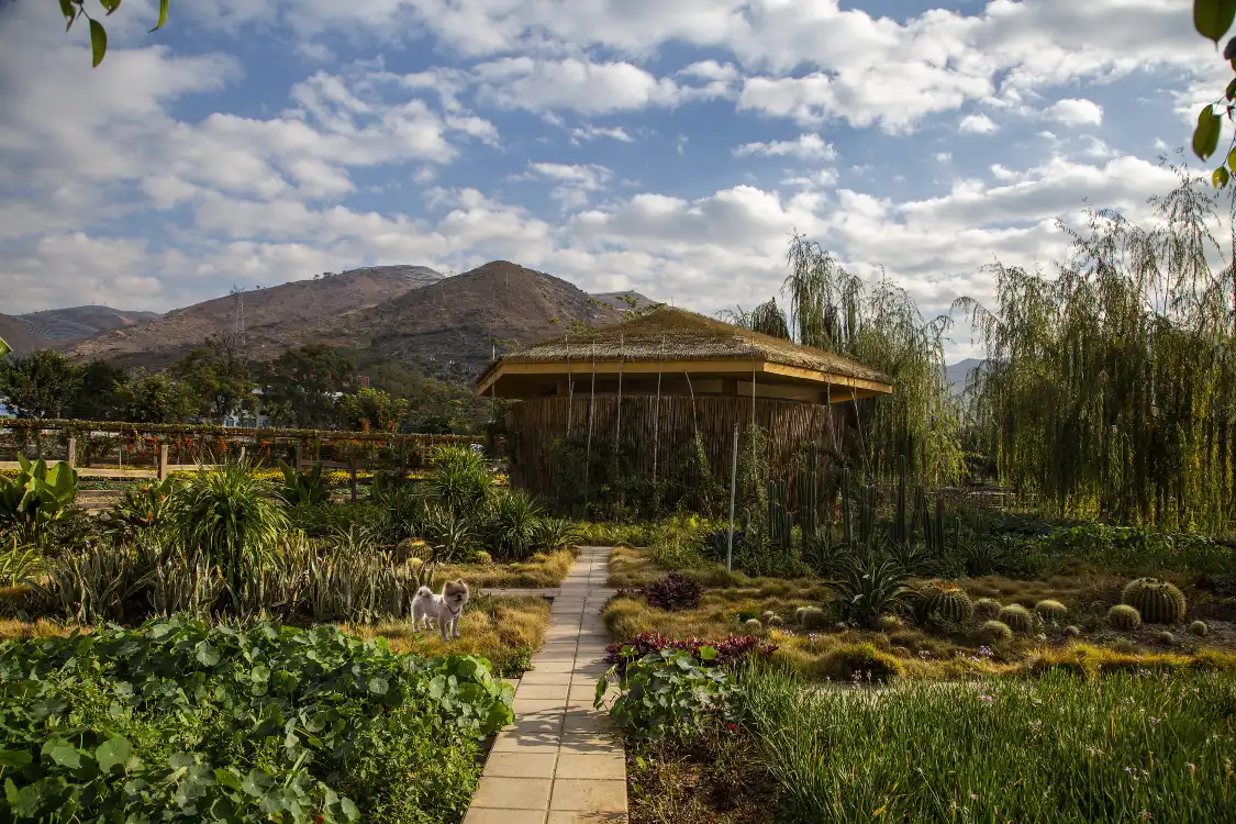 Hotels near Xigeda Village
