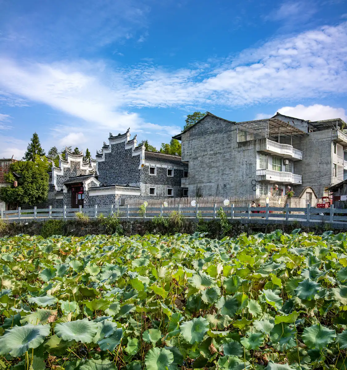 Hotels near Longli Ancient City