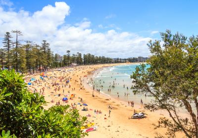 Plage de Manly