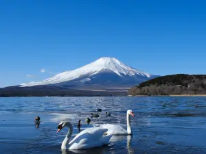 平野の浜