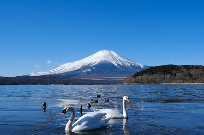 Hirano beach