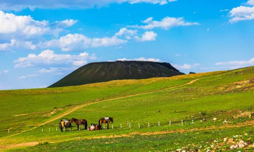烏蘭哈達火山草原
