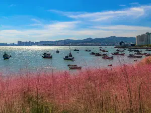 Haiyuan Park