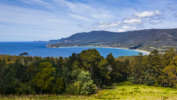 Presqu'île Tasman