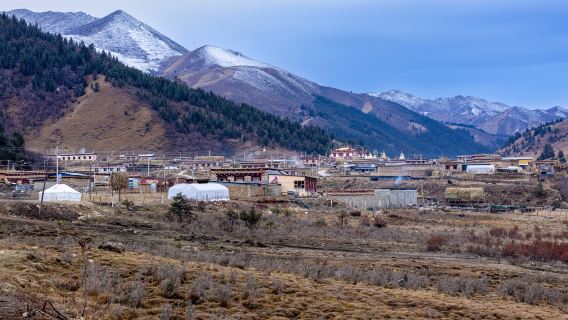 Zeba Village
