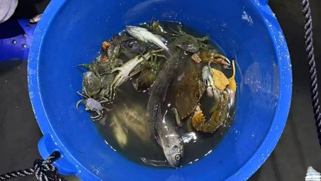 Wanning Sea-hunting Experience Center